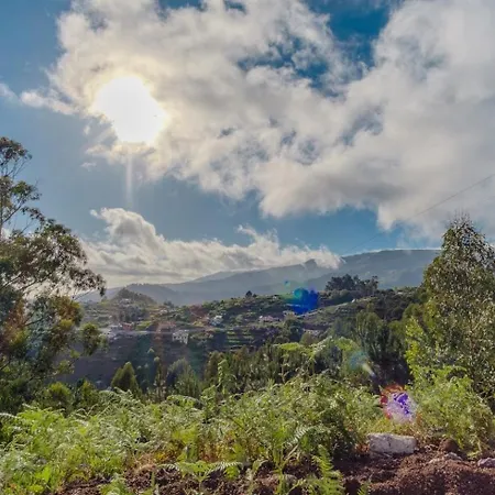 Daire Guestready - Quinta Estrelas *